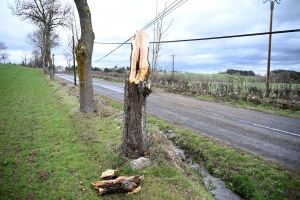 Vents violents : premiers dégâts en Haute-Loire, le département en vigilance orange