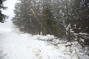 Le vent a causé des dégâts dans le Meygal : la station s&#039;active pour rouvrir les pistes de ski