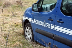 La Séauve-sur-Semène : il veut éviter un chevreuil et finit contre un arbre
