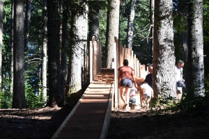 Le Chambon-sur-Lignon : l&#039;installation en bois A mi-bois, une curiosité dans le Bois Lambert