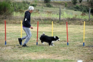 Yssingeaux : un concours d&#039;agility complet au Club canin des Sucs
