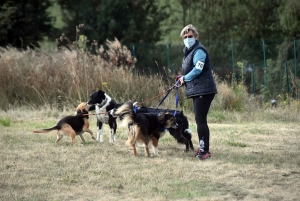 Yssingeaux : un concours d&#039;agility complet au Club canin des Sucs
