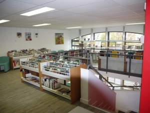 Les bibliothèques exceptionnellement ouvertes pour faire le plein de lectures et films