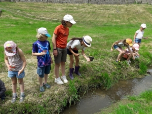 Montfaucon-en-Velay : les écoliers au chevet du ruisseau