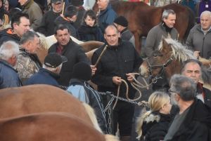 Fay-sur-Lignon : moins de chevaux mais des ventes en hausse