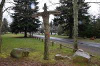 Un arbre en croix au Mazet-Saint-Voy.