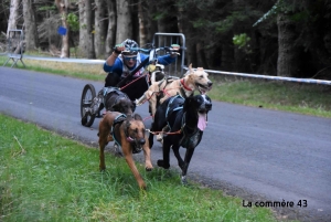 Retrouvez les résultats de la course de chiens de traineau à Saint-Front