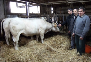 Le Chambon-sur-Lignon : Intermarché met à l’honneur la viande du Haut-Lignon pour les Rameaux et Pâques