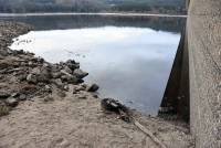Lapte : un cadavre mutilé de chevreuil découvert au barrage de Lavalette
