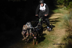 Saint-Front : retrouvez les résultats de la course de chiens de traineau