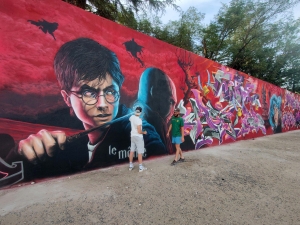 Retournac : Harry Potter à jamais graffé sur les murs de la Filature (vidéo)