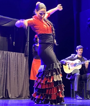 Les écoliers de Grazac découvrent le flamenco au théâtre d’Yssingeaux