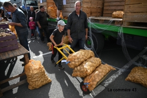 Craponne-sur-Arzon fête la pomme de terre dimanche, aussi appelée trifola