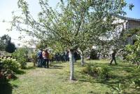 Queyrières : la taille des arbres fruitiers pour les nuls