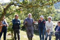 Queyrières : la taille des arbres fruitiers pour les nuls