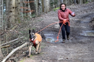 Beauzac : des chiens et leurs maîtres testent le mantrailing, la recherche de personnes disparues