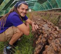 Bessamorel : Florian Peyroche crée la Coquille des Sucs, un élevage d&#039;escargots