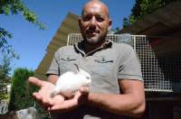 Ludovic Dimec entame une grève de la faim pour défendre son projet d&#039;élevage de lapins