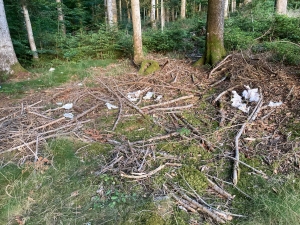 Yssingeaux : une plainte déposée pour dépôt sauvage d&#039;ordures dans les bois