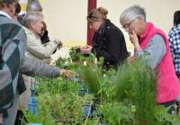 Yssingeaux : le succès au rendez-vous du troc&#039;plants des Jardiniers au Pays des sucs