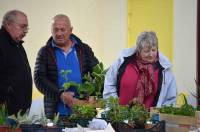 Yssingeaux : le succès au rendez-vous du troc&#039;plants des Jardiniers au Pays des sucs