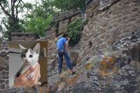 Espaly-Saint-Marcel : un chaton prisonnier du rocher Saint-Joseph