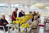 Sainte-Sigolène : jonquilles et autruches au programme des activités de la maison de retraite