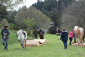 Un concours de chevaux &quot;Mountain-Trail&quot; dimanche à Thoras