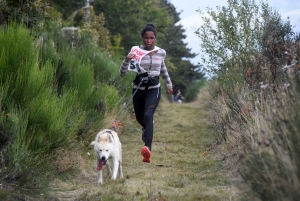 Saint-Front : des langues bien pendues sur la course de chiens de traîneau