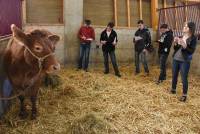 Jugement de bétail : ces 8 jeunes représenteront la Haute-Loire au Salon de l&#039;agriculture