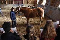 Jugement de bétail : ces 8 jeunes représenteront la Haute-Loire au Salon de l&#039;agriculture