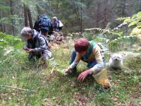 Valprivas : Champimystique organise des balades pour cueillir des champignons