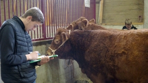Jugement de bétail : 7 qualifiés en Haute-Loire pour la finale au Salon de l&#039;agriculture 2024