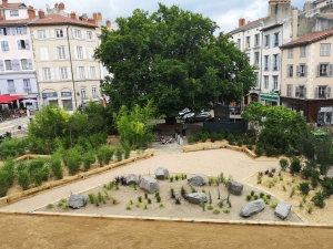 Un jardin éphémère créé sur la place de la mairie au Puy-en-Velay