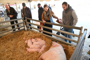 Au Puy-en-Velay, une ferme animée est installée tout le week-end sur la place du Breuil