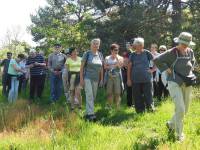 Valprivas : Champimystique propose des randonnées autour du champignon