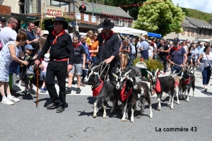 Saint-Front : de bonnes raisons de se rendre dimanche sur la Fête de la chèvre