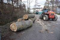 Monistrol-sur-Loire : plusieurs doigts sectionnés par la chute d&#039;un arbre