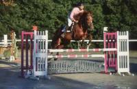 Equitation : un concours de saut d&#039;obstacles dimanche à Blavozy