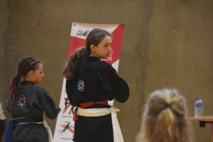 Viet vo dao : 53 enfants au tournoi des jeunes dragons à Yssingeaux