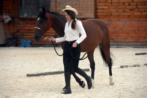 Yssingeaux : le concours d&#039;équitation western en photos