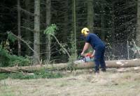 Deux accidents forestiers aujourd&#039;hui en haute-Loire. Photo d&#039;illustration||