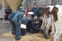 Yssingeaux : les lycéens en sélection pour la finale départementale de jugement de bétail