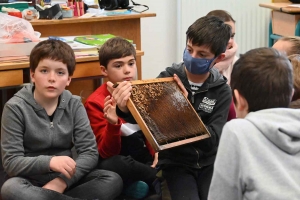 Yssingeaux : les écoliers de Saint-Gabriel découvrent le monde des abeilles