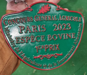 Un 1er prix au Salon de l&#039;agriculture pour la vache montbéliarde Occitanie de Bains