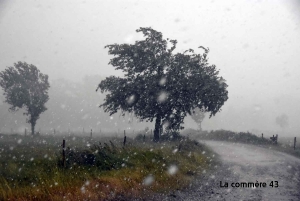 Agriculture : Aurec, Bas, Malvalette et Valprivas particulièrement touchés par les orages de samedi