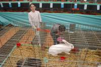 Saint-Julien-du-Pinet : les résultats du concours avicole