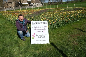 Les tulipes contre le cancer fleurissent à Moudeyres, leur vente se fera le samedi 27 avril
