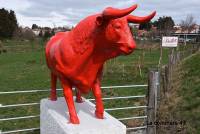 Montfaucon-en-Velay : le taureau Paillet est de retour