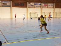 Badminton : l&#039;Emblavez rafle les titres départementaux